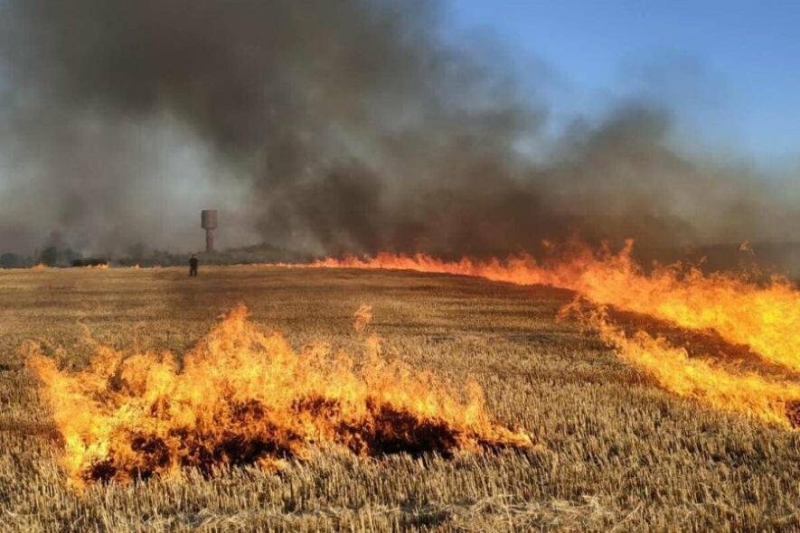 На Тернопільщині оголошено 5 клас пожежної небезпеки - ДСНС