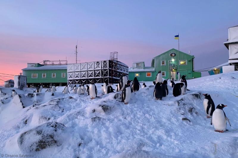 "Україна витрачає мільйони на пінгвінів замість дронів": полярники пояснили, чому не купують безпілотники за кошти на антарктичні дослідження