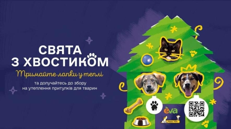 Тримайте лапки в теплі! EVA та Happy Paw запустили проєкт допомоги  тваринам у притулках