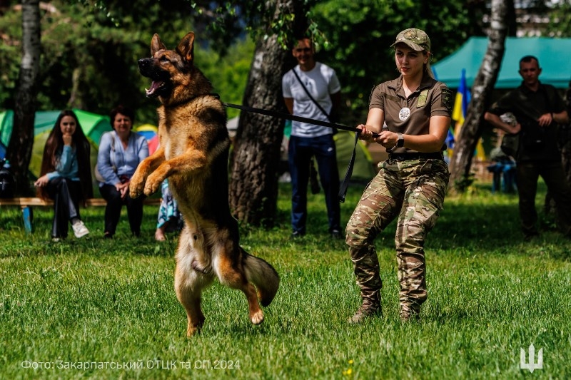 На Закарпатті відбувся ІІ обласний етап Всеукраїнської дитячо-юнацької військово-патріотичної гри „Сокіл” („Джура”) 2024!