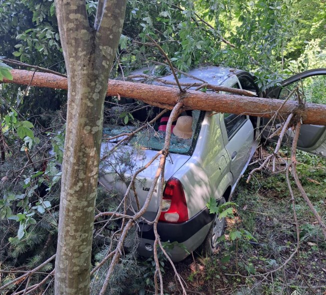 Неподалік Рівного авто розбилося об дерева (ФОТО)