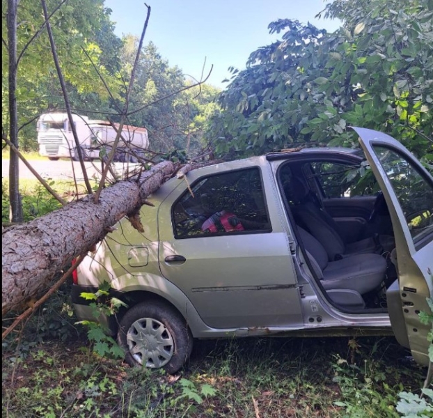 Неподалік Рівного авто розбилося об дерева (ФОТО)