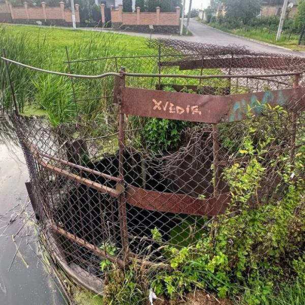 У Луцьку рятувальники врятували качку з каченям із водозабірника