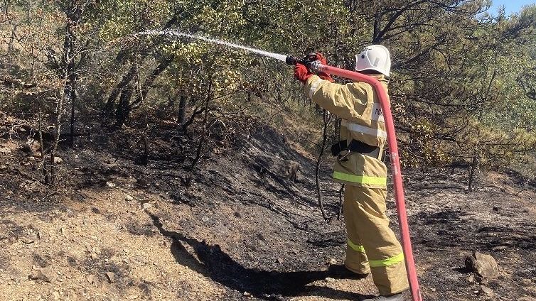 Пожежу на площі 40 гектарів поблизу Коктебеля ліквідували через п'ять днів – МНС РФ