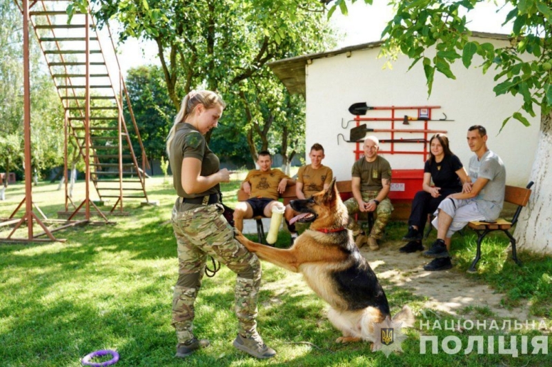 Бійці Об’єднаної штурмової бригади Нацполіції «Лють» проходять реабілітацію на Закарпатті за допомогою методу каністерапії
