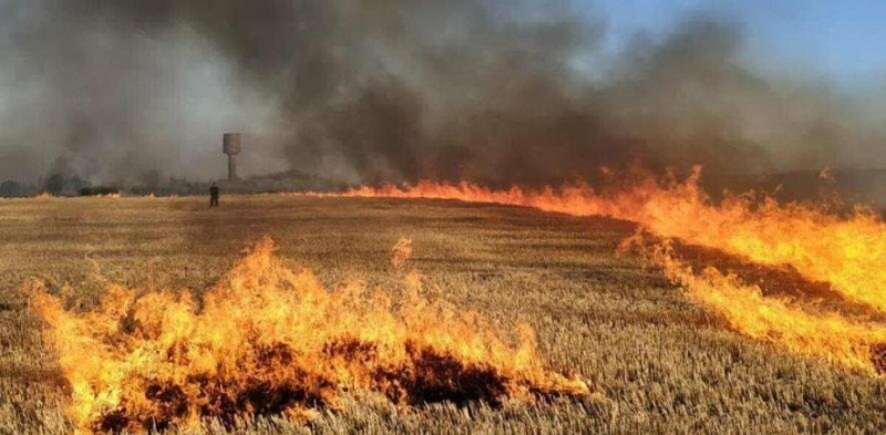 На території Запорізької області очікується надзвичайна пожежна небезпека