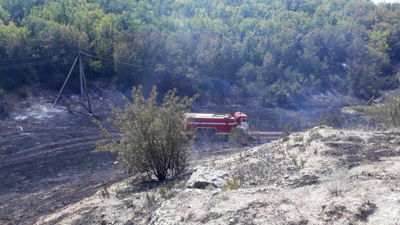 У Севастополі знову повідомляють про пожежу на площі 3,7 га