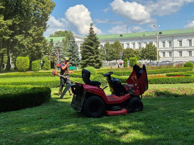 Через побоювання критики Полтава відмовилася від ідеї залишати ділянки газонів без покосу трави