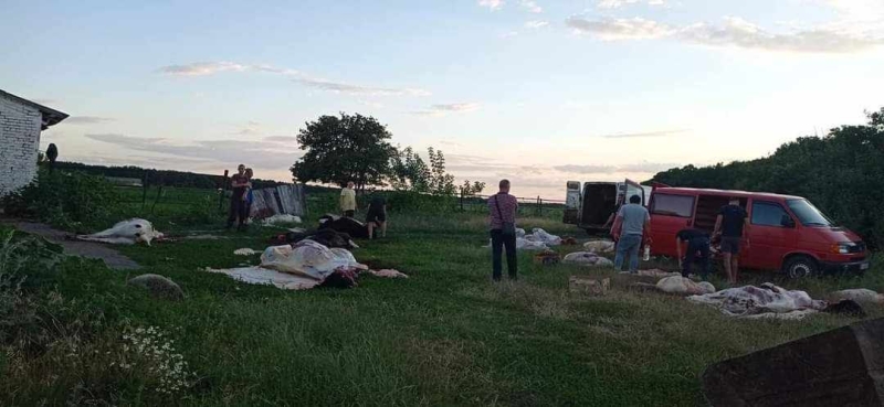 Трупи худоби в лісі та нестерпний запах: мешканці Великого Тростянця протестували проти незаконного забою