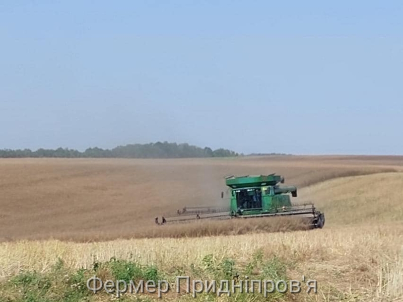 У ТОВ «Фармгейт Україна» стартував обмолот озимого ріпаку