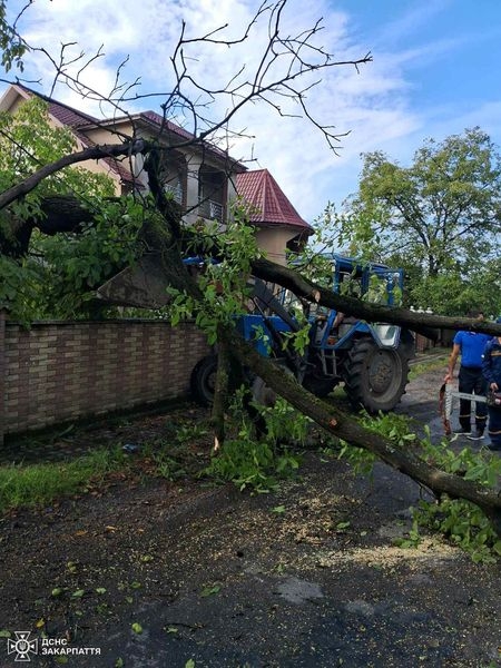 Учорашня негода спричинила підтоплення дворогосподарств та повалила дерева у кількох районах Закарпаття