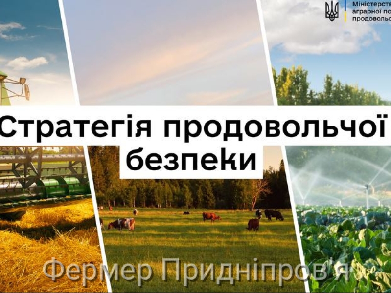 В Україні схвалена Стратегія продовольчої безпеки на період до 2027 року