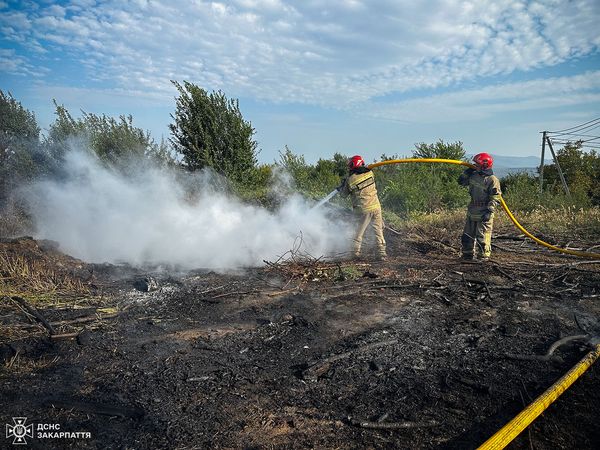 511 пожеж сухої трави та сміття на Закарпатті з початку року. Рятувальники закликають не спалювати сухостій