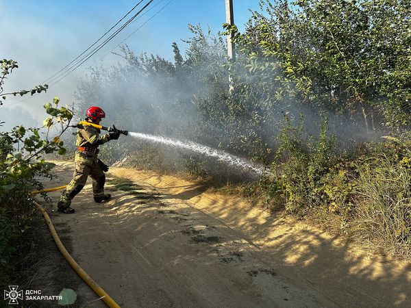 511 пожеж сухої трави та сміття на Закарпатті з початку року. Рятувальники закликають не спалювати сухостій