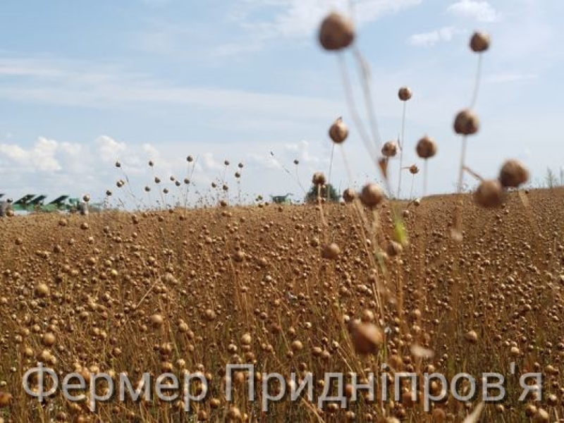 Цитата дня