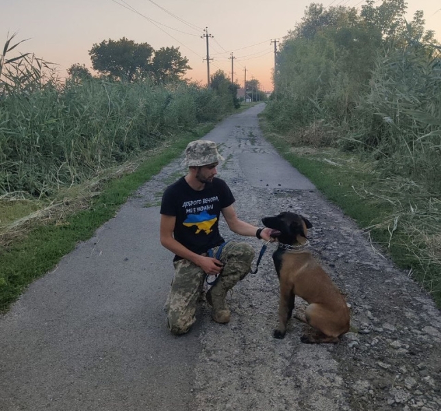 "Кіл прийняв на себе перші осколки, врятував мені життя. А сам загинув". Історії про дружбу між бійцями та собаками на передовій