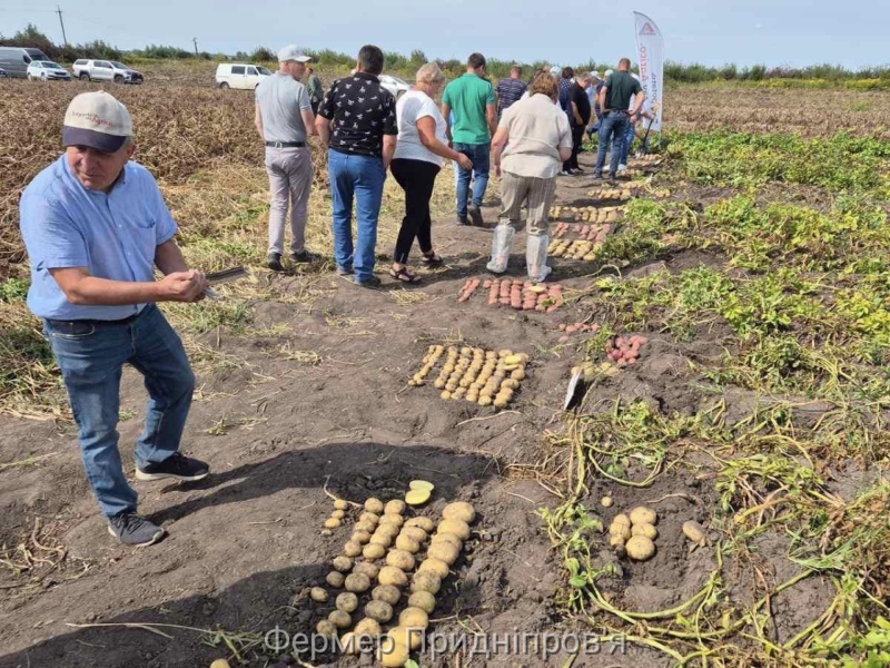 Команда Агріко Україна провела черговий семінар з навчання по вирощуванні картоплі 