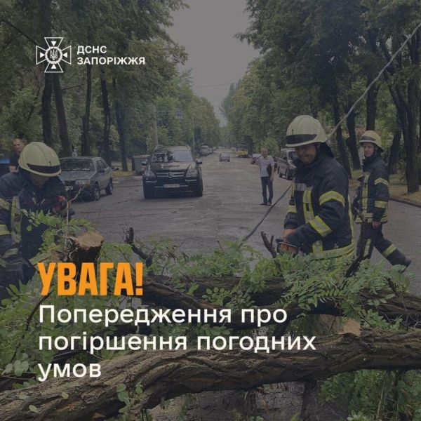 Синоптики попередили запоріжців про пориви вітру 