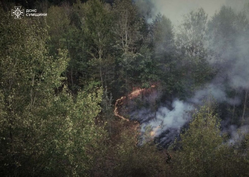 На Охтирщині рятувальники ліквідувати масштабну пожежу, яку спричинив ворожий удар.