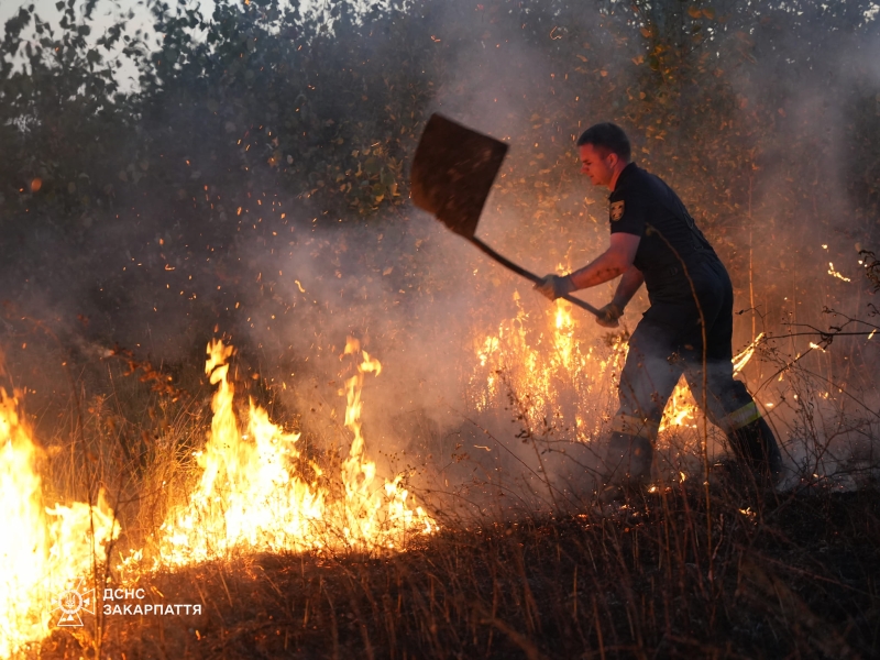 На Ужгородщині 20 рятувальників 8 годин гасили пожежу