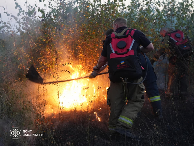 На Ужгородщині 20 рятувальників 8 годин гасили пожежу