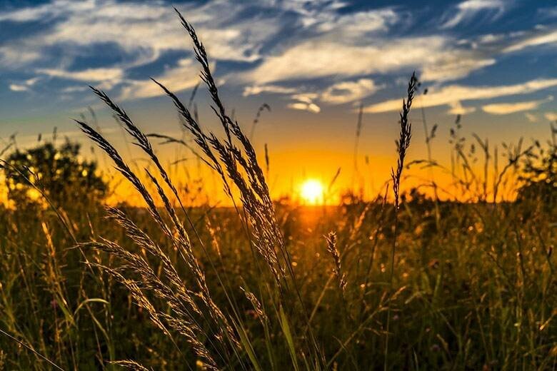 Невелика хмарність, але без опадів. Погода в Миколаєві, - ФОТО