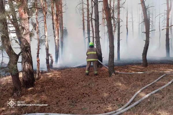 Під Кам’янським 4 години гасили масштабну лісову пожежу