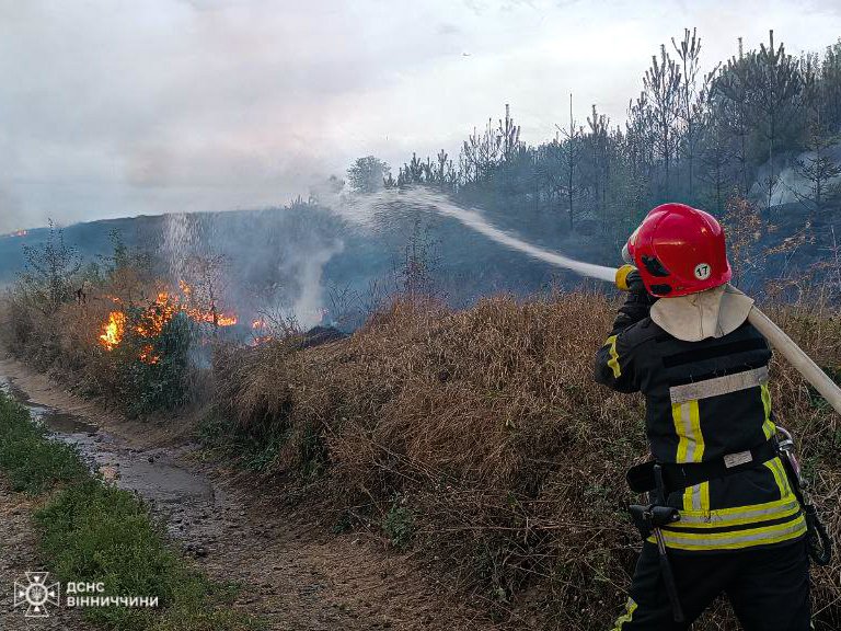 Рекордні пожежі: На Вінниччині за добу сталося 78 пожеж