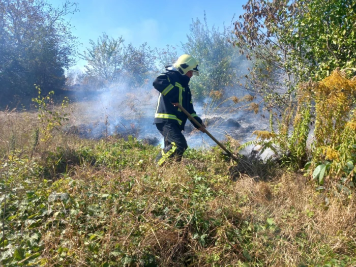 У садівничому товаристві у Луцькому районі сталася масштабна пожежа: постраждала жінка