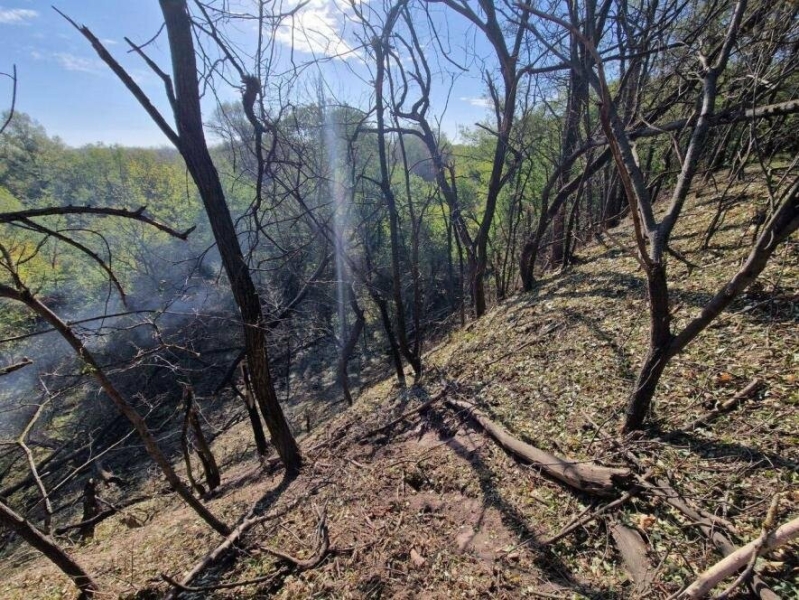 Ворожа авіаційна бомба влучила по острову Хортиця