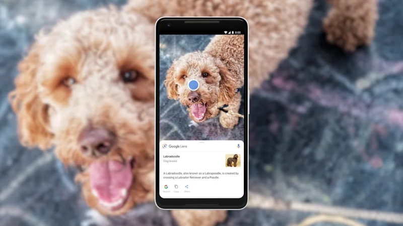 Google Lens запускає пошук за відео та голосом — поки лише англійською