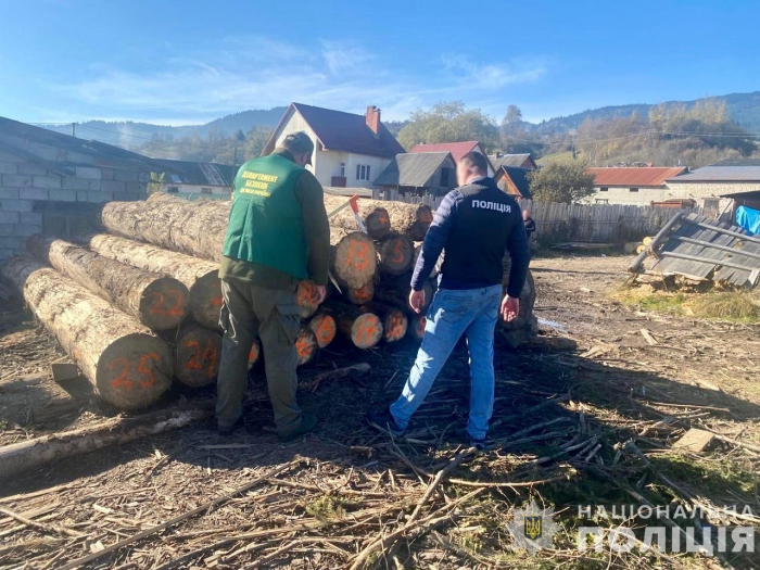 Масштабна вирубка лісу в українських Карпатах та перешкоджання діяльності правоохоронців: поліція Закарпаття затримала групу «чорних лісорубів»