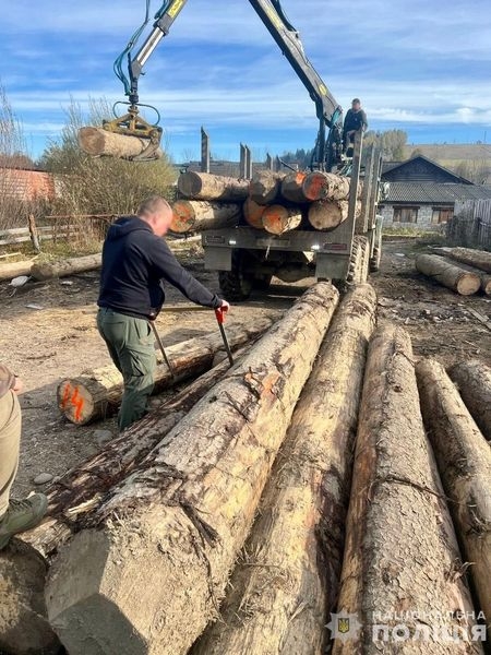 Масштабна вирубка лісу в українських Карпатах та перешкоджання діяльності правоохоронців: поліція Закарпаття затримала групу «чорних лісорубів»