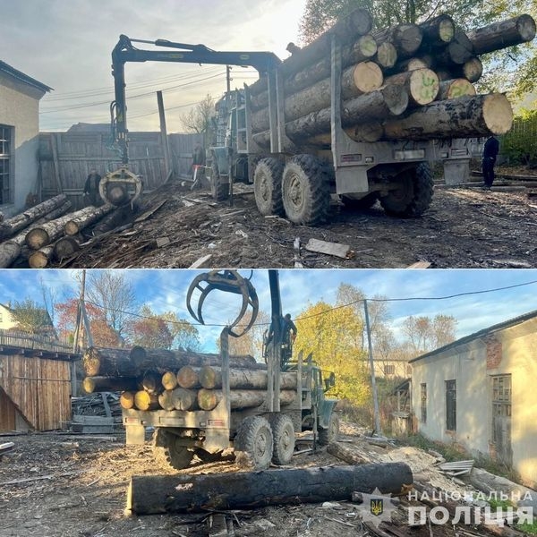 Масштабна вирубка лісу в українських Карпатах та перешкоджання діяльності правоохоронців: поліція Закарпаття затримала групу «чорних лісорубів»