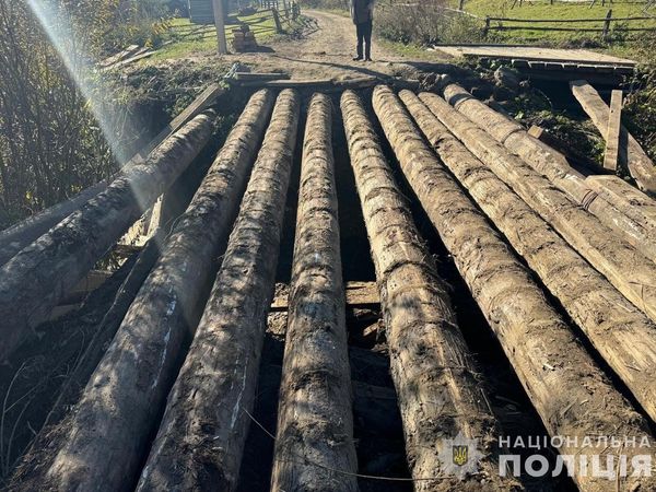 Масштабна вирубка лісу в українських Карпатах та перешкоджання діяльності правоохоронців: поліція Закарпаття затримала групу «чорних лісорубів»