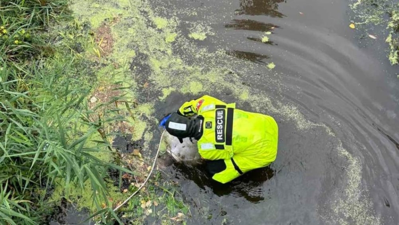 На Кіровоградщині з річки дістали тіло чоловіка