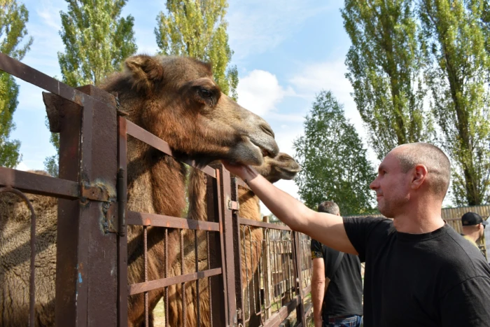 Пет-терапія у Луцькому зоопарку та пасіка Івана Душака: військові на реабілітації побували у мінімандрівці