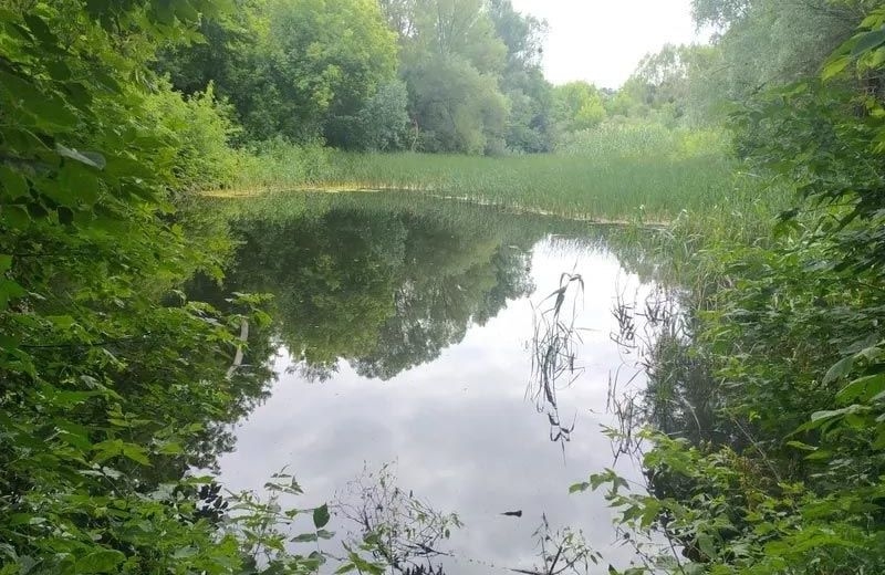 Полтавська міськрада здала в оренду 4 ставки у Тахтауловому