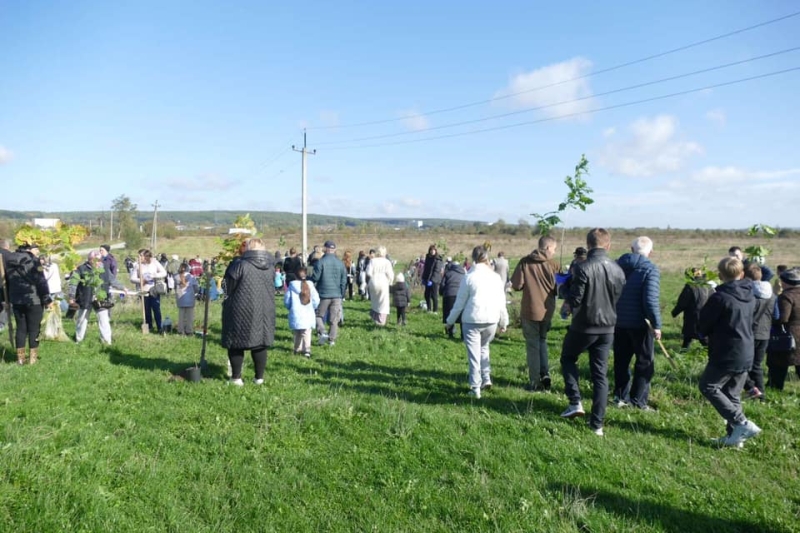 У пам’ять про полеглих Героїв у Калуші висадили дубовий гай (ФОТО)