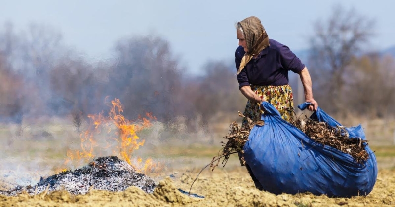 У Вінниці 15 порушників спалювали суху рослинність