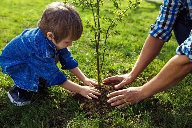 На честь десантно-штурмових військ ЗСУ у Черкасах висадять дерева