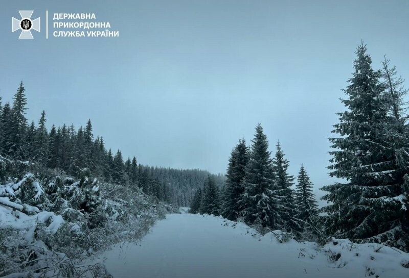 Снігу по коліна: прикордонники показали, як засипало Карпати