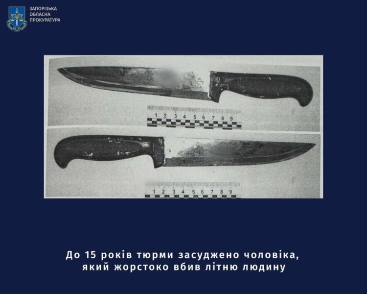 У Запоріжжі винесли вирок чоловіку, який вбив тестя