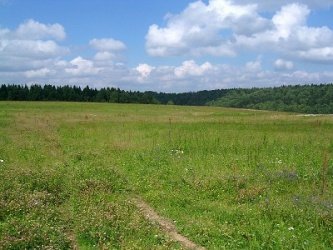 У Запорізькій області у держвласність відсудили конфісковану земельну ділянку громадянина рф