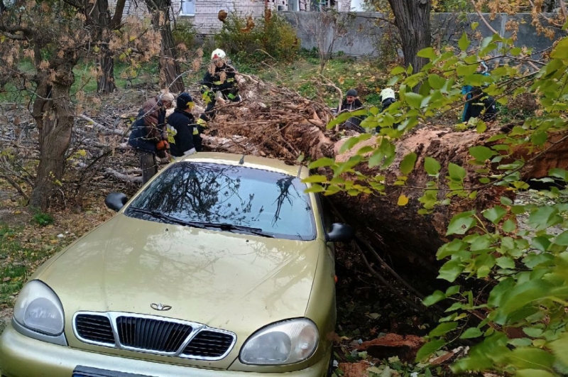 Десятки тисяч осель залишилися без світла: наслідки негоди в області