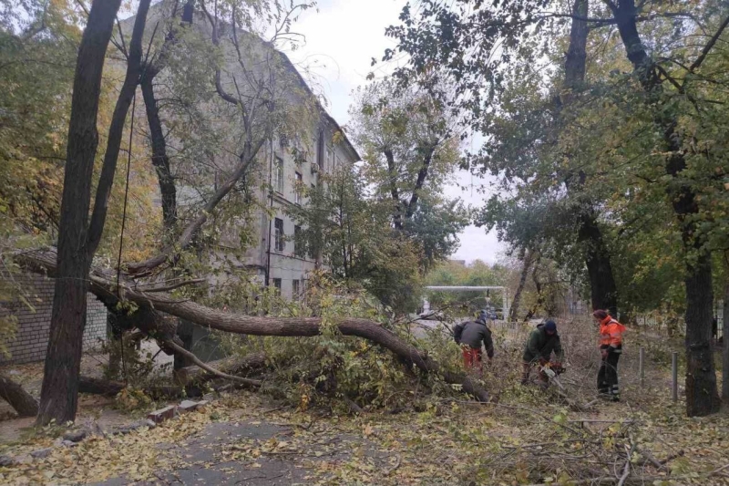 Десятки тисяч осель залишилися без світла: наслідки негоди в області