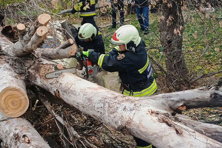 Десятки тисяч осель залишилися без світла: наслідки негоди в області