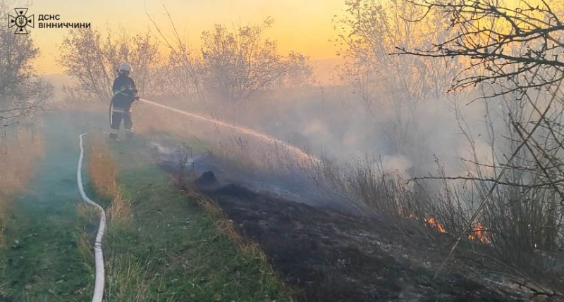 На Вінниччині ліквідували 12 пожеж