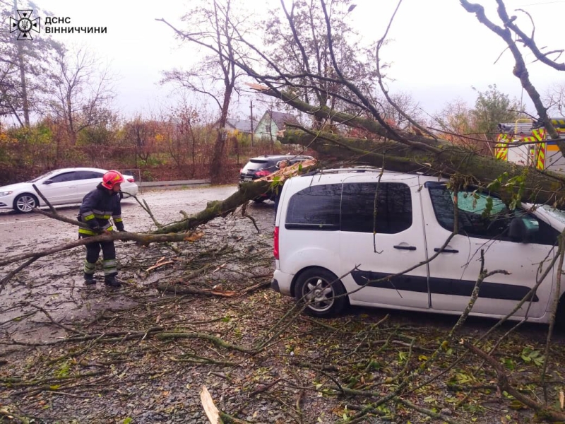 На Вінниччині вітер валив дерева