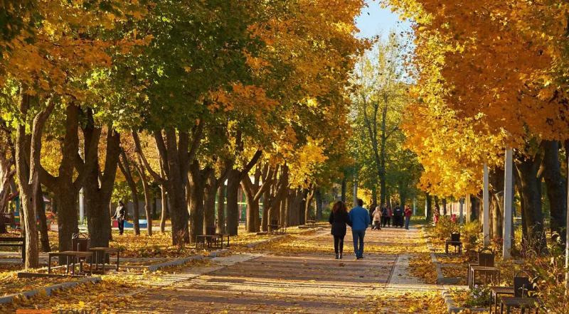 Осінь у Кропивницькому. Світлини з парку Перемоги (ФОТОРЕПОРТАЖ)